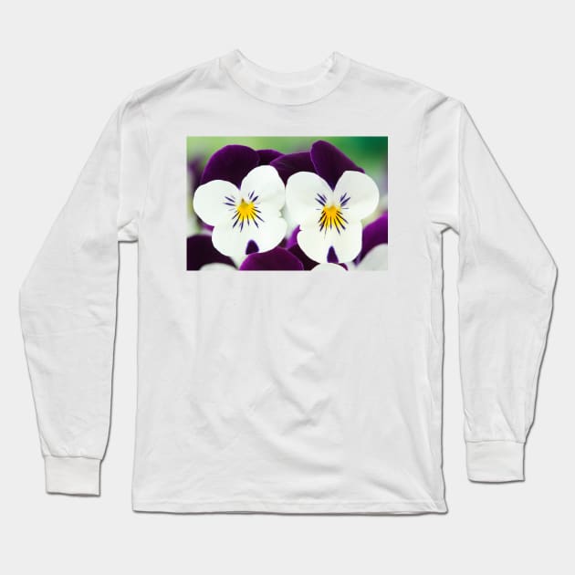 Viola  Rocky White with Purple Wings  Rocky series Long Sleeve T-Shirt by chrisburrows